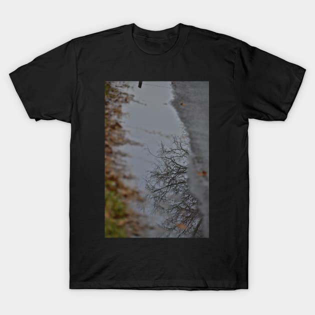 Mud Puddle Reflection T-Shirt by A Thousand Words Photography